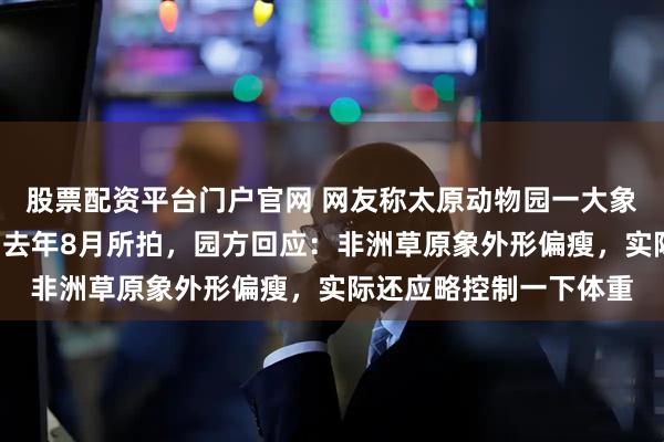 股票配资平台门户官网 网友称太原动物园一大象瘦成“皮包骨”？实为去年8月所拍，园方回应：非洲草原象外形偏瘦，实际还应略控制一下体重